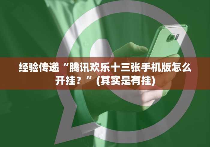 经验传递“腾讯欢乐十三张手机版怎么开挂？”(其实是有挂)