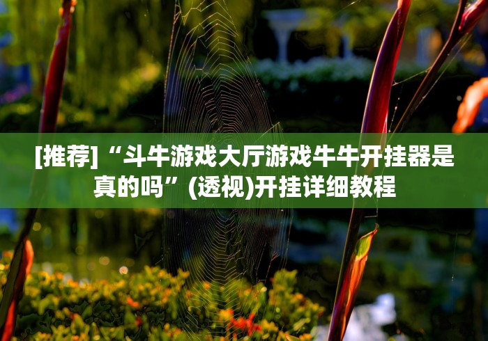 必学教你安装“土豪赢三张旧版有什么规律”(透视)开挂详细教程