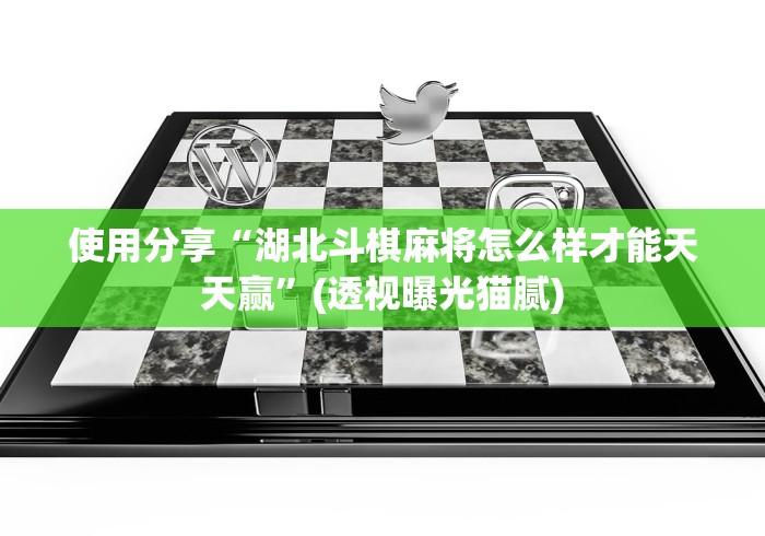 使用分享“湖北斗棋麻将怎么样才能天天赢”(透视曝光猫腻)