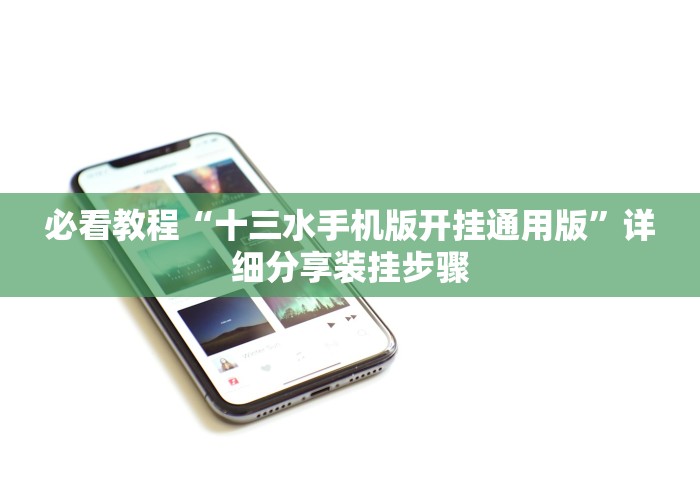 必看教程“十三水手机版开挂通用版”详细分享装挂步骤