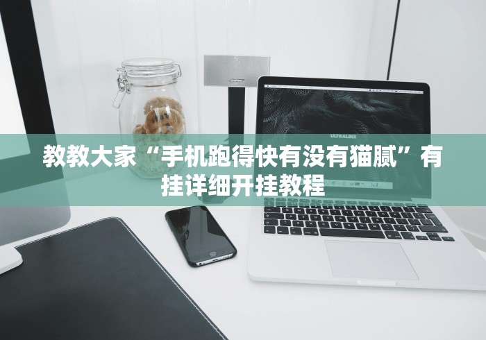 教教大家“手机跑得快有没有猫腻”有挂详细开挂教程