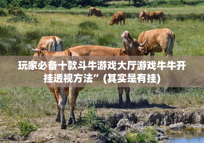 玩家必备十款斗牛游戏大厅游戏牛牛开挂透视方法”(其实是有挂)