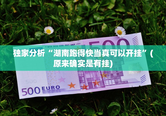 独家分析“湖南跑得快当真可以开挂”(原来确实是有挂)