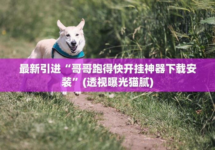 最新引进“哥哥跑得快开挂神器下载安装”(透视曝光猫腻)