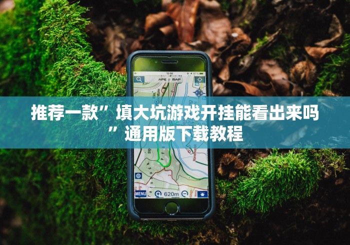 推荐一款”填大坑游戏开挂能看出来吗”通用版下载教程