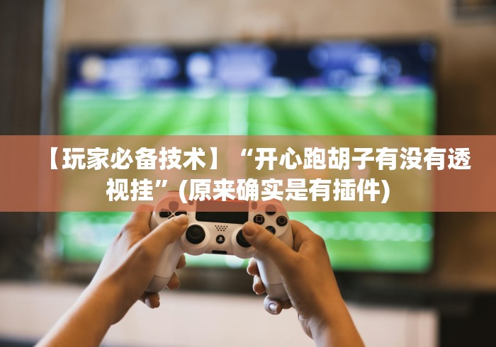 【玩家必备技术】“开心跑胡子有没有透视挂”(原来确实是有插件)