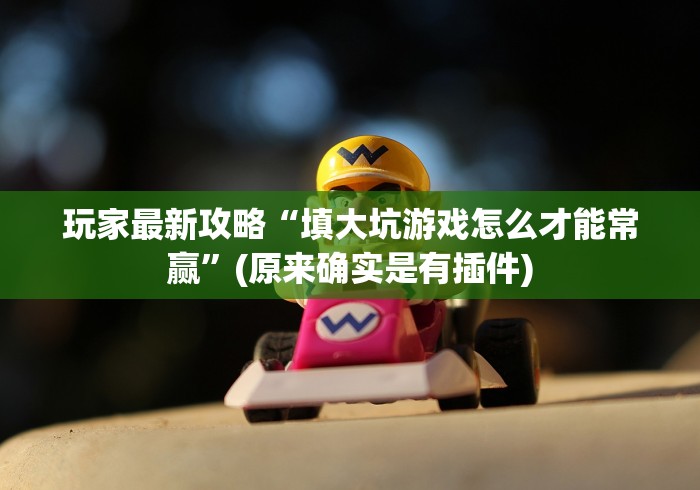 玩家最新攻略“填大坑游戏怎么才能常赢”(原来确实是有插件)