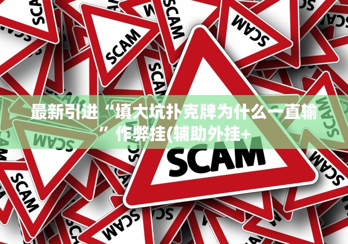 最新引进“填大坑扑克牌为什么一直输”作弊挂(辅助外挂+