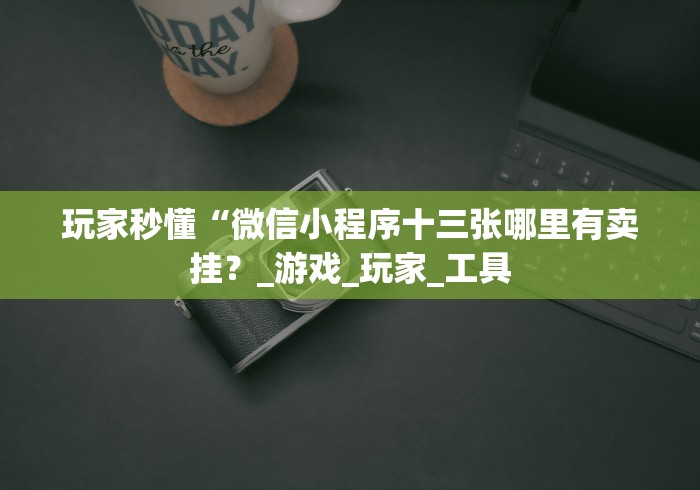 玩家秒懂“微信小程序十三张哪里有卖挂？_游戏_玩家_工具
