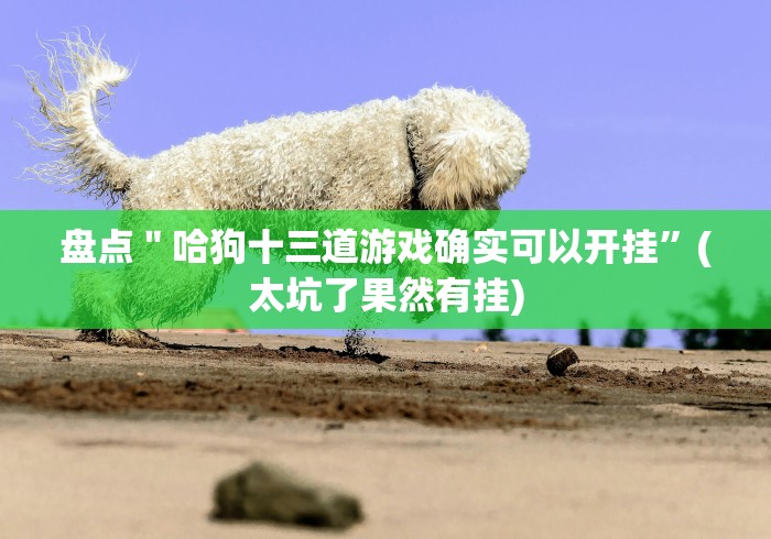 盘点＂哈狗十三道游戏确实可以开挂”(太坑了果然有挂)