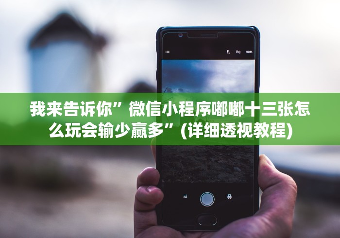 我来告诉你”微信小程序嘟嘟十三张怎么玩会输少赢多”(详细透视教程)