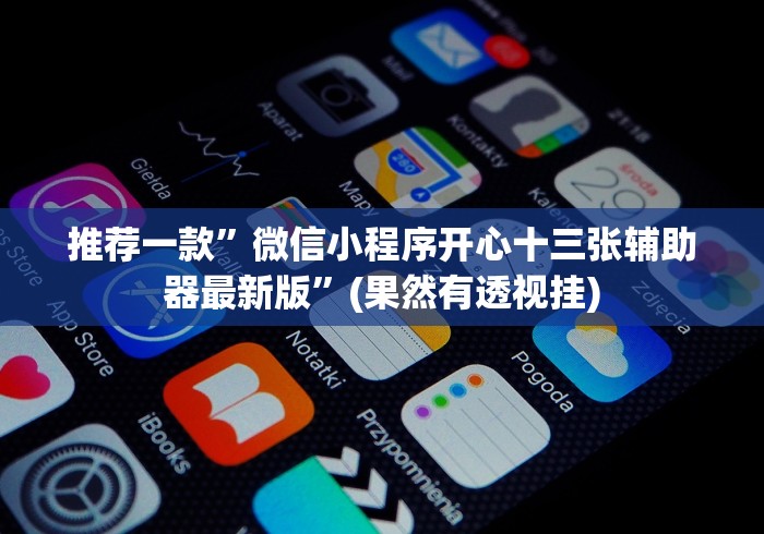 推荐一款”微信小程序开心十三张辅助器最新版”(果然有透视挂)