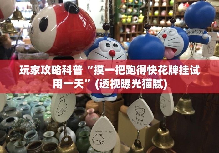 玩家攻略科普“摸一把跑得快花牌挂试用一天”(透视曝光猫腻)