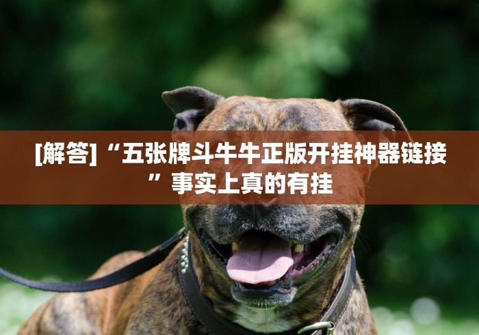 [解答]“五张牌斗牛牛正版开挂神器链接”事实上真的有挂