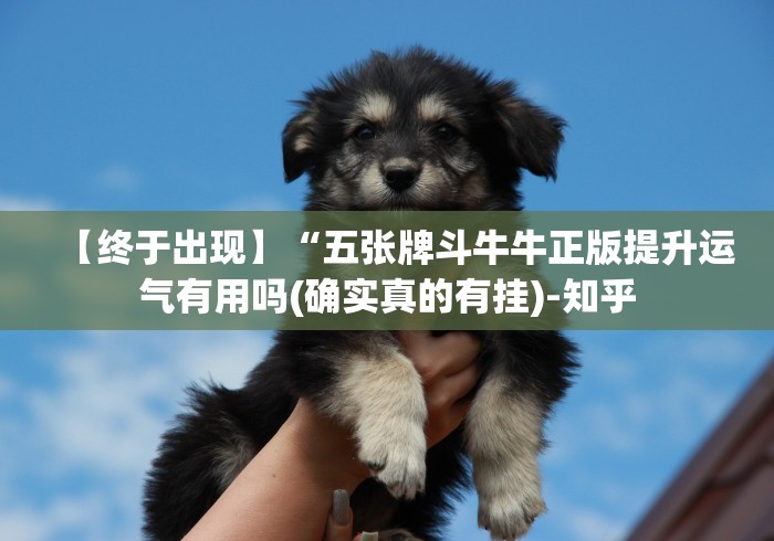 【终于出现】“五张牌斗牛牛正版提升运气有用吗(确实真的有挂)-知乎