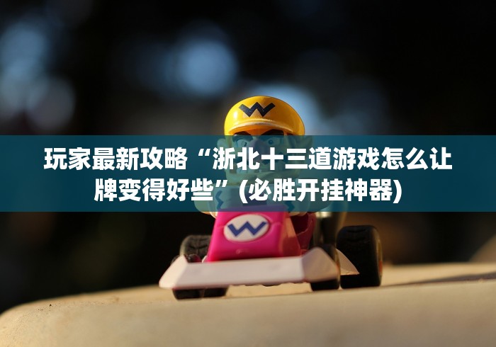 玩家最新攻略“浙北十三道游戏怎么让牌变得好些”(必胜开挂神器)