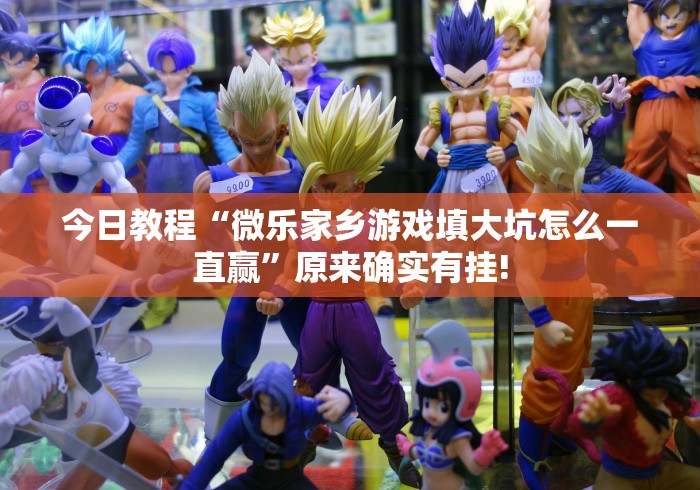 今日教程“微乐家乡游戏填大坑怎么一直赢”原来确实有挂!