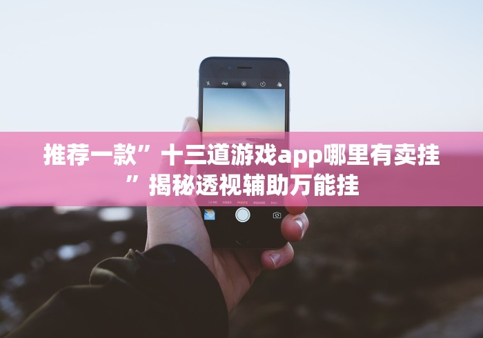 推荐一款”十三道游戏app哪里有卖挂”揭秘透视辅助万能挂