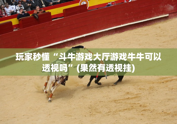 玩家秒懂“斗牛游戏大厅游戏牛牛可以透视吗”(果然有透视挂)