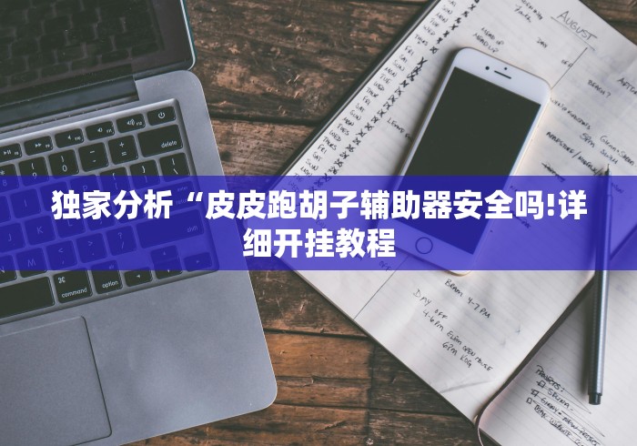 独家分析“皮皮跑胡子辅助器安全吗!详细开挂教程