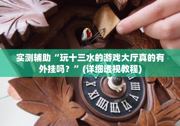 实测辅助“玩十三水的游戏大厅真的有外挂吗?”(详细透视教程) 实测辅助“玩十三水的游戏大厅真的有外挂吗?”(详细透视教程)