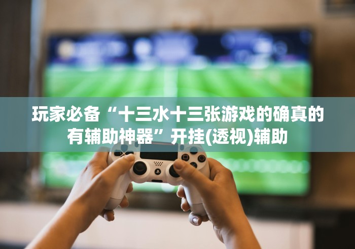 玩家必备“十三水十三张游戏的确真的有辅助神器”开挂(透视)辅助