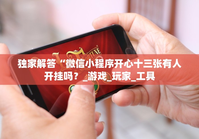 独家解答“微信小程序开心十三张有人开挂吗？_游戏_玩家_工具
