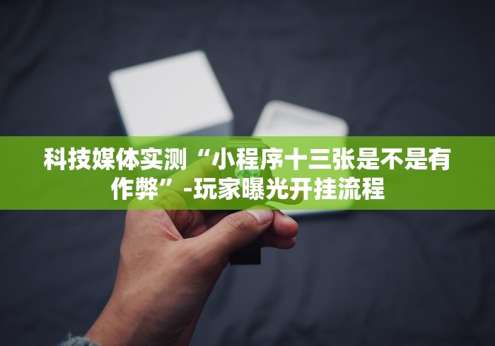 科技媒体实测“小程序十三张是不是有作弊”-玩家曝光开挂流程