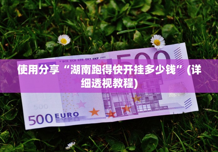 使用分享“湖南跑得快开挂多少钱”(详细透视教程)