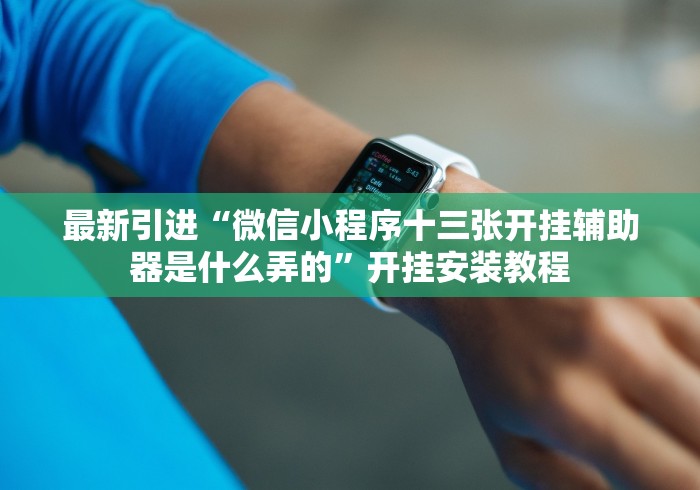 最新引进“微信小程序十三张开挂辅助器是什么弄的”开挂安装教程