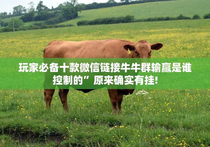 玩家必备十款微信链接牛牛群输赢是谁控制的”原来确实有挂! 玩家必备十款微信链接牛牛群输赢是谁控制的”原来确实有挂!