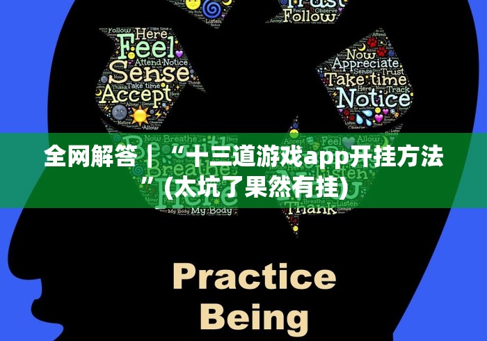 全网解答|“十三道游戏app开挂方法”(太坑了果然有挂) 全网解答|“十三道游戏app开挂方法”(太坑了果然有挂)