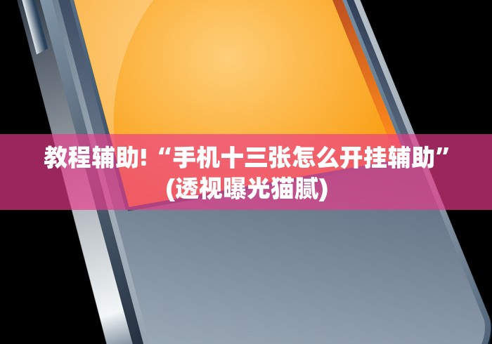 教程辅助!“手机十三张怎么开挂辅助”(透视曝光猫腻)