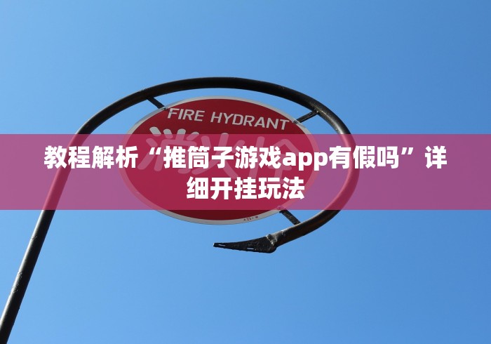 教程解析“推筒子游戏app有假吗”详细开挂玩法