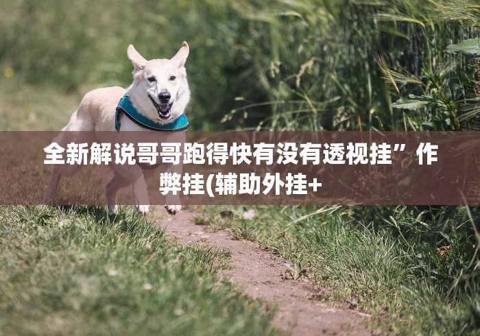 【玩家必看实操】“湖南长沙16张跑得快能调胜率吗”-揭秘开挂教程分享