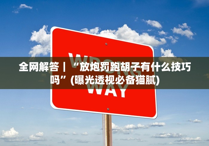 全网解答｜“放炮罚跑胡子有什么技巧吗”(曝光透视必备猫腻)