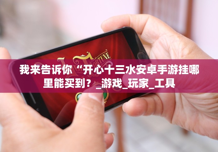 我来告诉你“开心十三水安卓手游挂哪里能买到?_游戏_玩家_工具 我来告诉你“开心十三水安卓手游挂哪里能买到?_游戏_玩家_工具