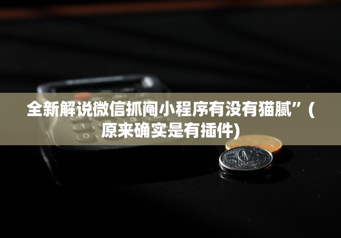 全新解说微信抓阄小程序有没有猫腻”(原来确实是有插件)