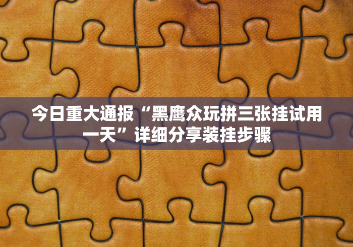 今日重大通报“黑鹰众玩拼三张挂试用一天”详细分享装挂步骤 今日重大通报“黑鹰众玩拼三张挂试用一天”详细分享装挂步骤
