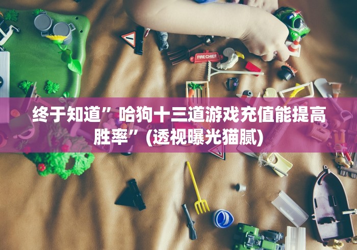 终于知道”哈狗十三道游戏充值能提高胜率”(透视曝光猫腻)