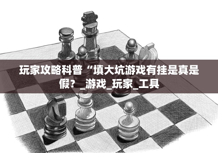 玩家攻略科普“填大坑游戏有挂是真是假？_游戏_玩家_工具