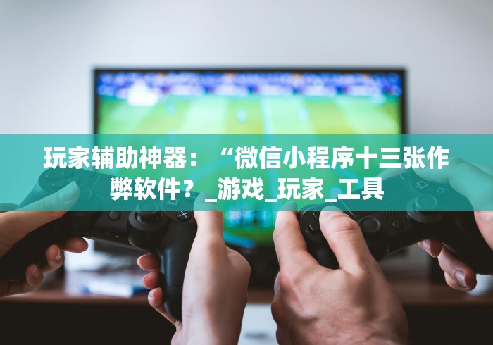 玩家辅助神器：“微信小程序十三张作弊软件？_游戏_玩家_工具