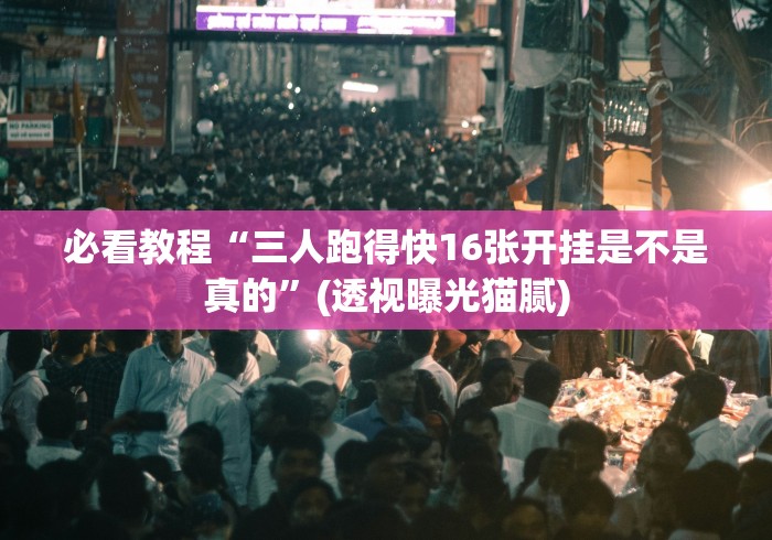 必看教程“三人跑得快16张开挂是不是真的”(透视曝光猫腻) 必看教程“三人跑得快16张开挂是不是真的”(透视曝光猫腻)