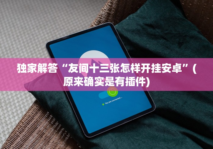 独家解答“友间十三张怎样开挂安卓”(原来确实是有插件)