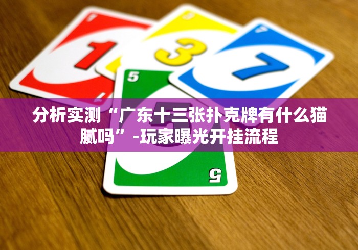 分析实测“广东十三张扑克牌有什么猫腻吗”-玩家曝光开挂流程 分析实测“广东十三张扑克牌有什么猫腻吗”-玩家曝光开挂流程