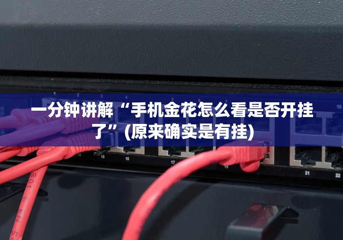 一分钟讲解“手机金花怎么看是否开挂了”(原来确实是有挂) 一分钟讲解“手机金花怎么看是否开挂了”(原来确实是有挂)