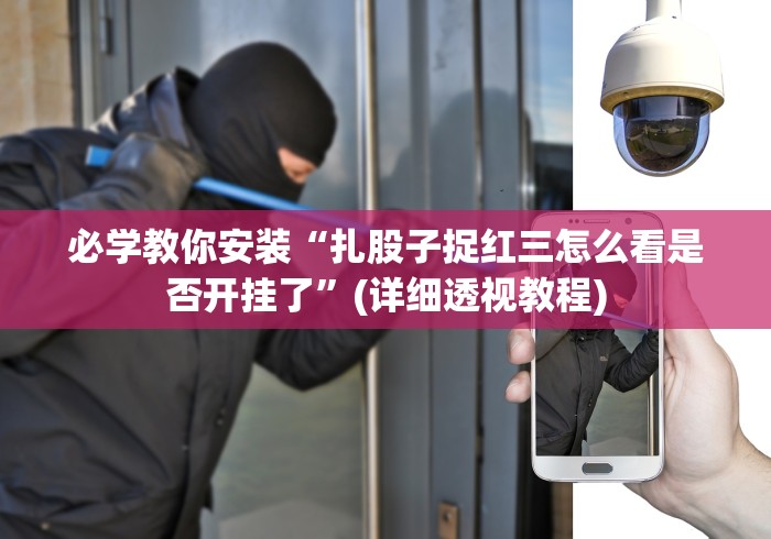 必学教你安装“扎股子捉红三怎么看是否开挂了”(详细透视教程)