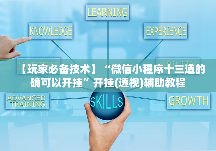 【玩家必备技术】“微信小程序十三道的确可以开挂”开挂(透视)辅助教程