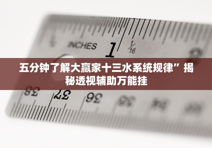 五分钟了解大赢家十三水系统规律”揭秘透视辅助万能挂