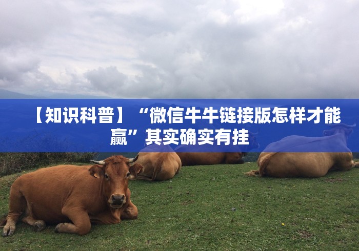 【知识科普】“微信牛牛链接版怎样才能赢”其实确实有挂